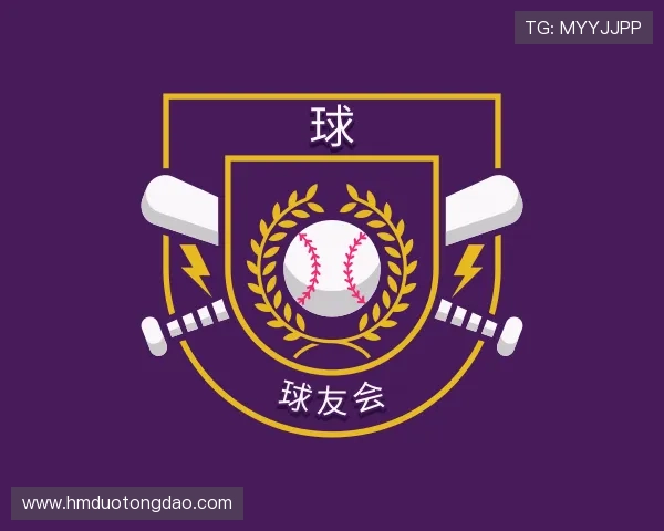 了解球友会
